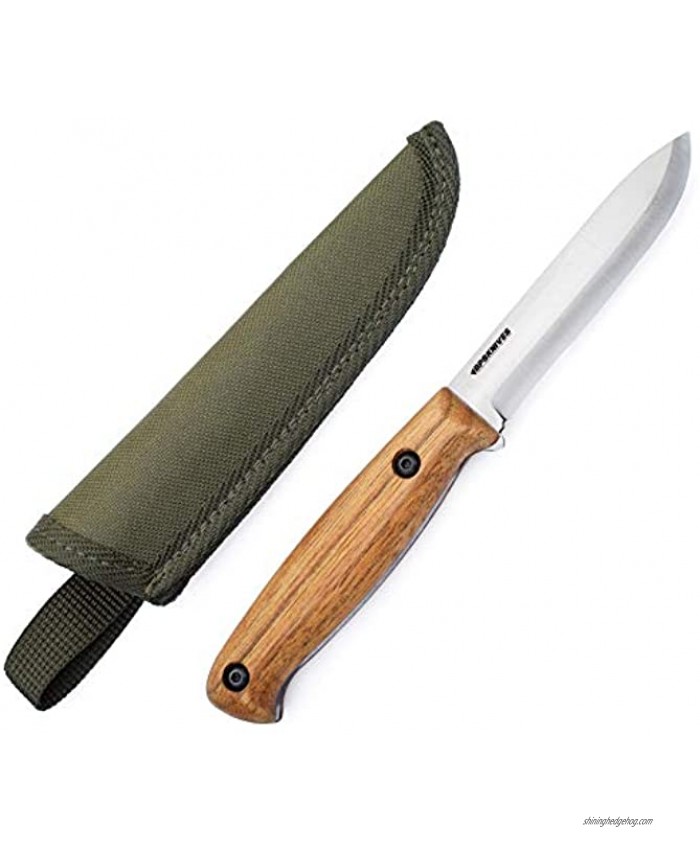 BPS Knives BS1FTSS Compact 7.9 Full Tang Stainless Steel Knife with Nylon Sheath Case Cover Scandi Grind EDC Small Fixed Blade Outdoor Camping Camp Bushcraft Bush Knife Lightweight Walnut Wood Handle