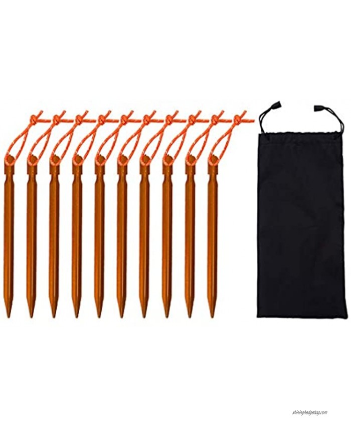 ACENILEN 10 Pack Tent Stakes for Outdoors Backpacking Camping Tent Kits & Hiking Accessories